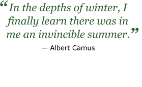 In the depths of winter, I finally learn there was in me an invincible summer. ― Albert Camus ”   “